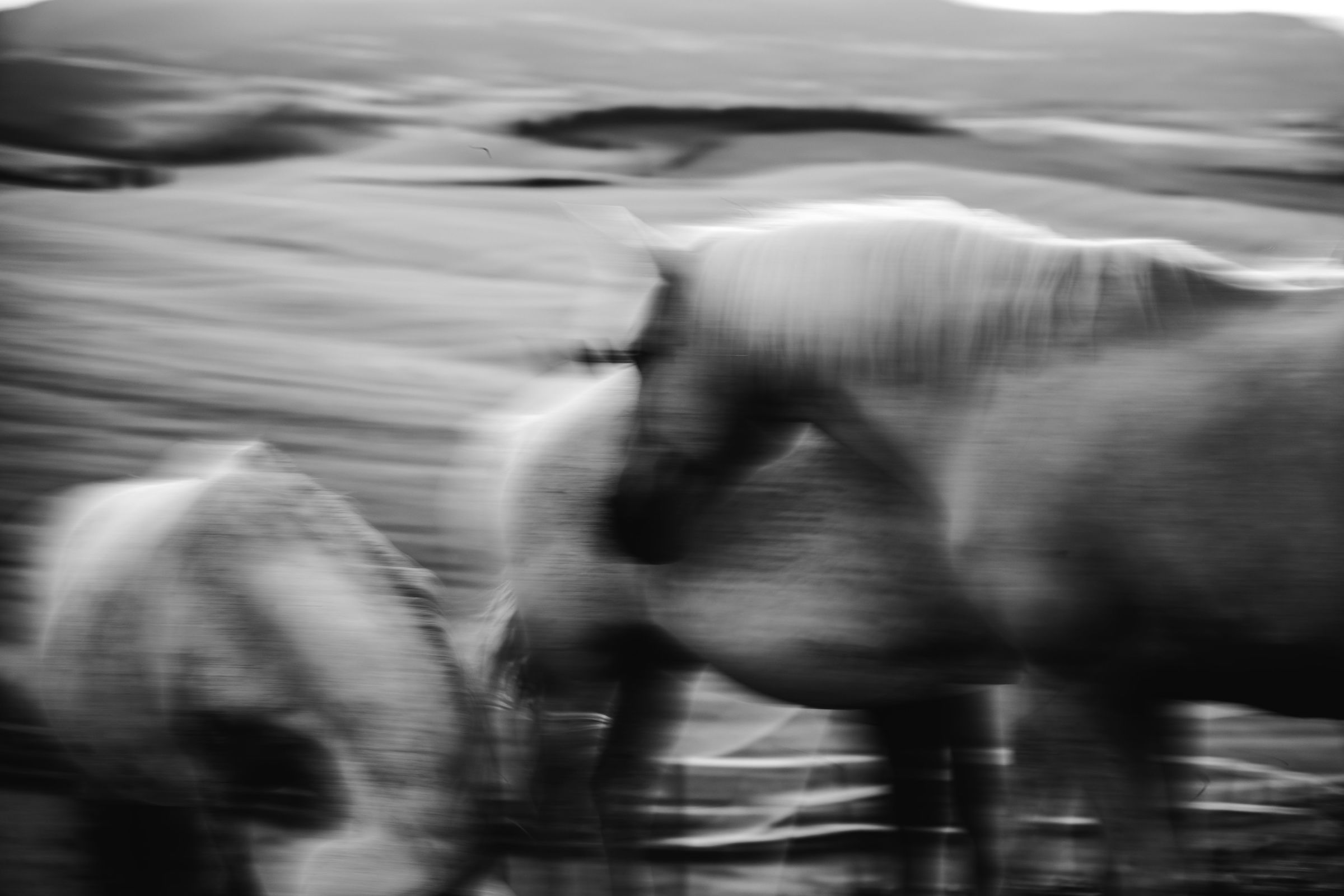 Untitled Photo