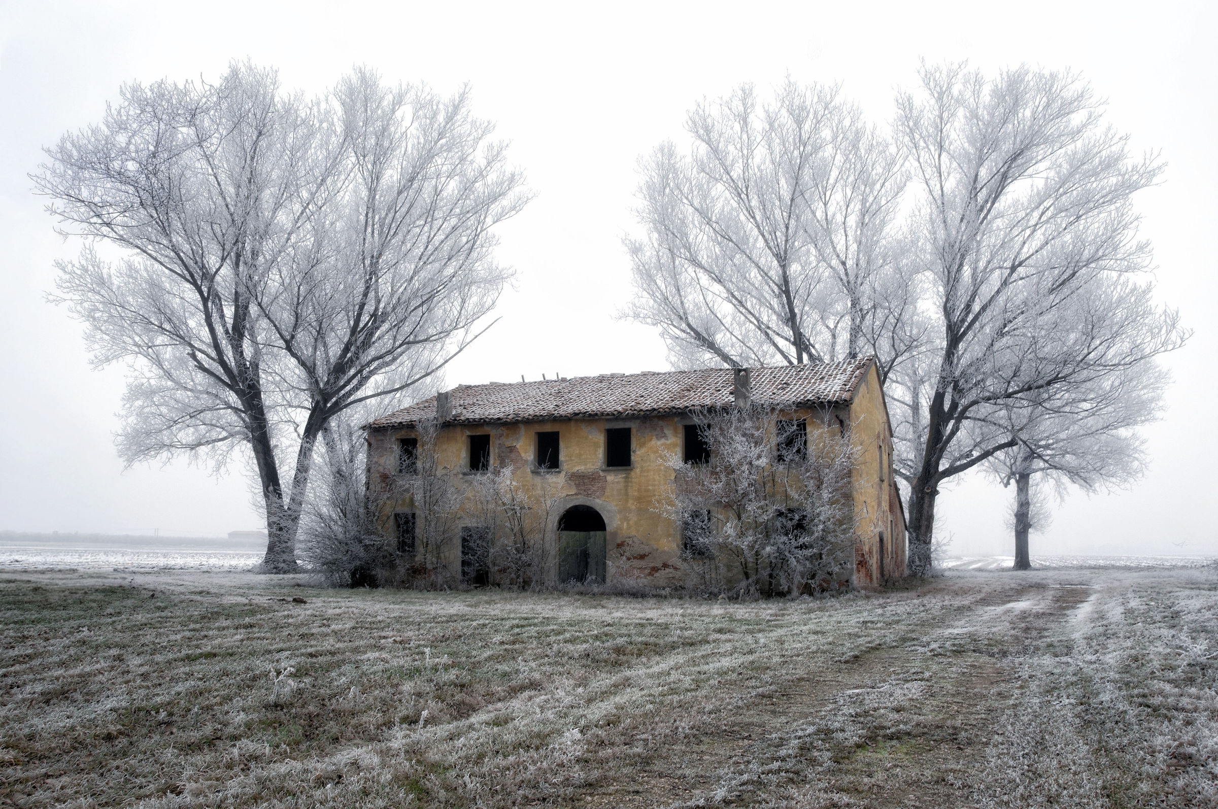 Winter plains