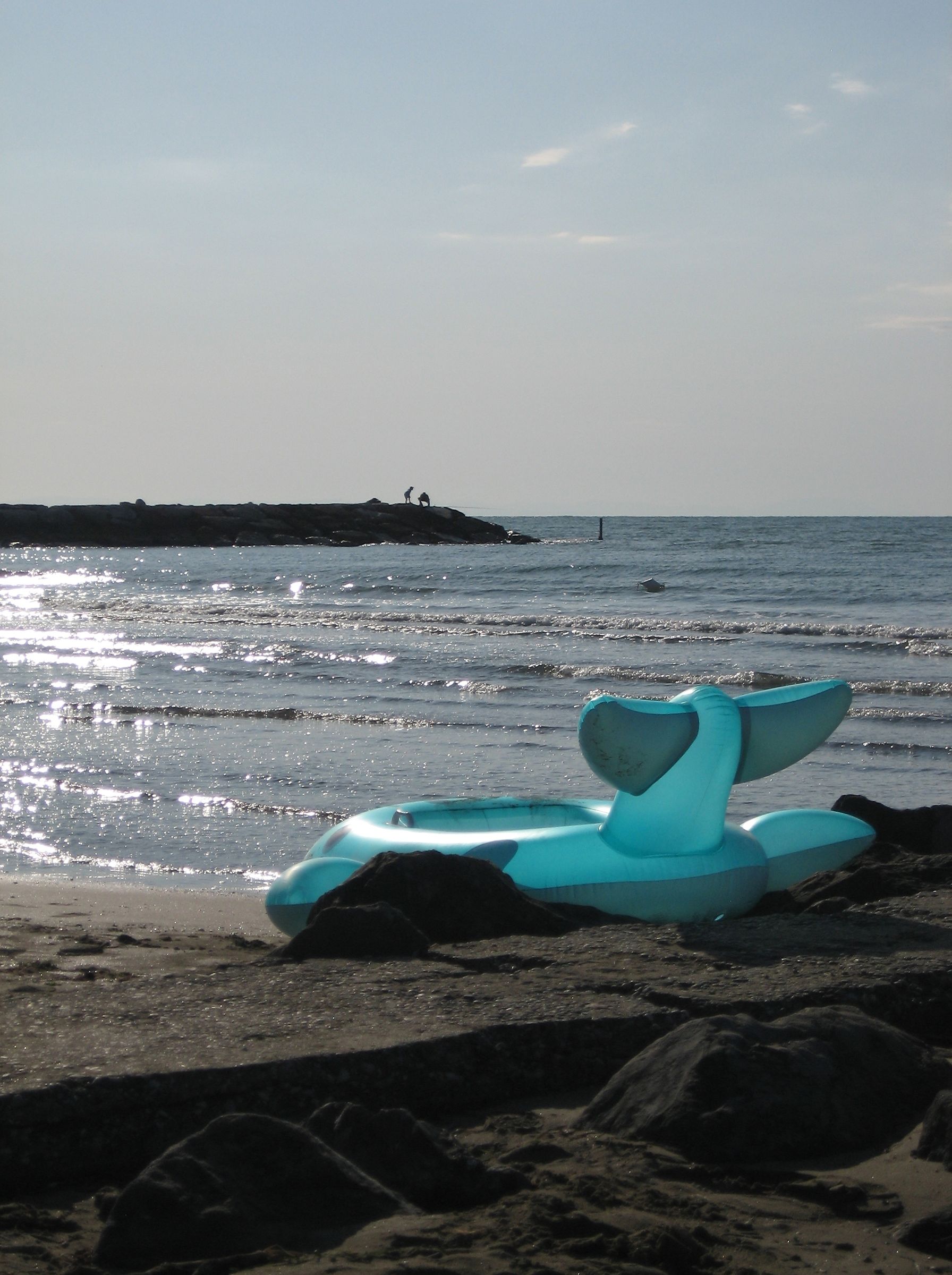 Beached
