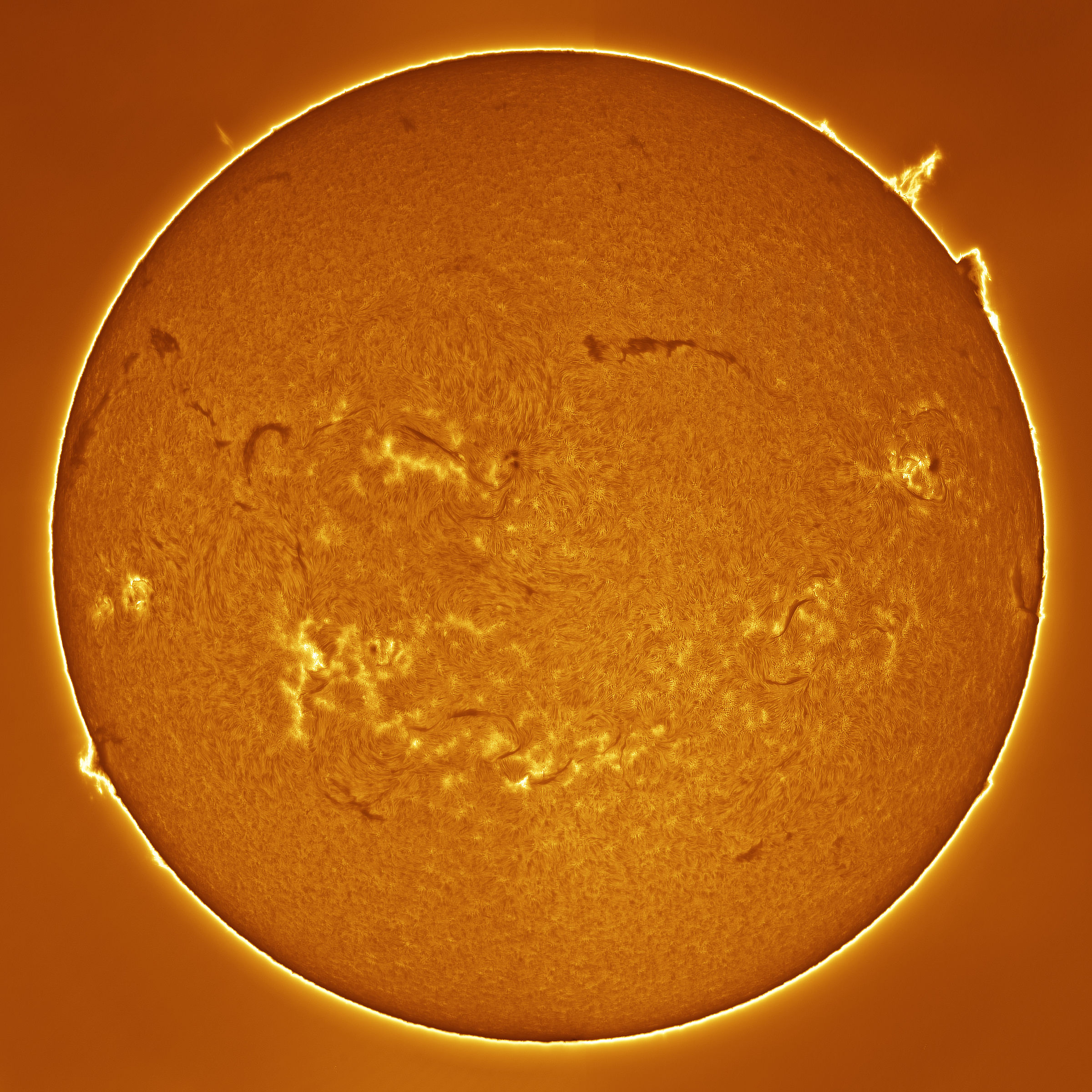La nostra stella in tutto il suo splendore!