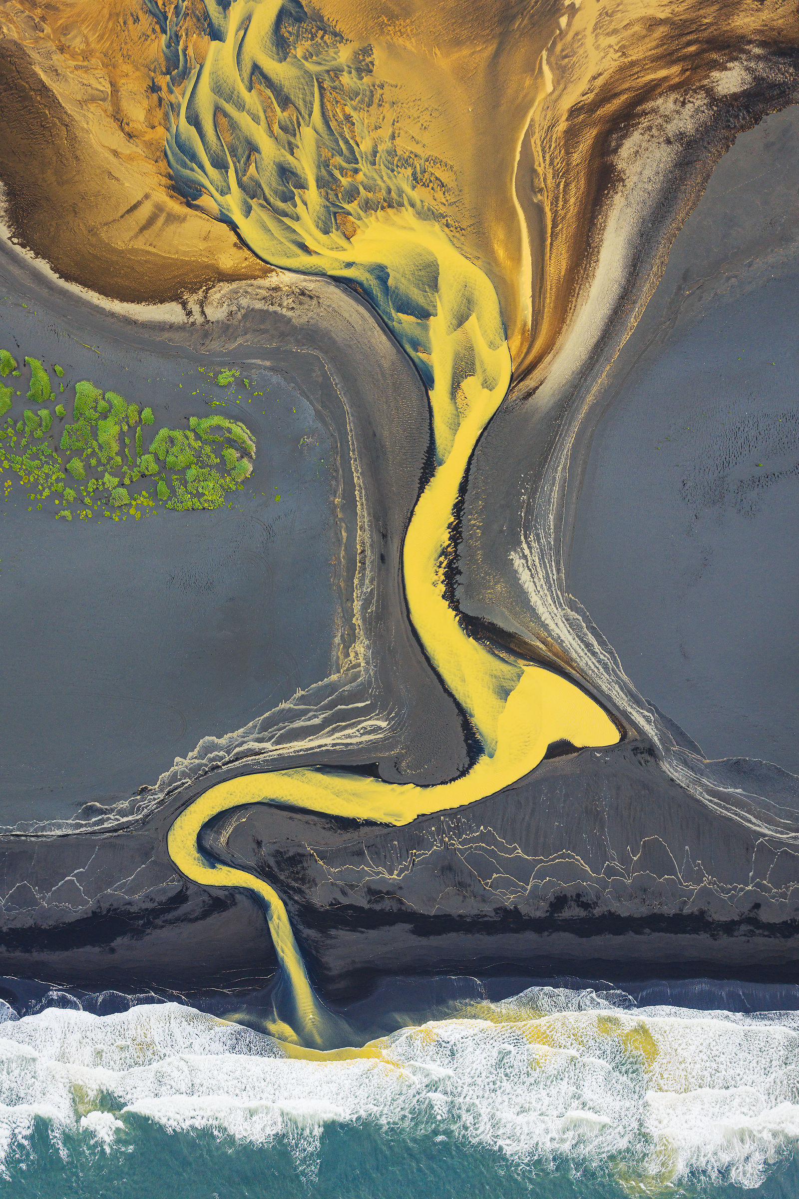 Yellow Snake