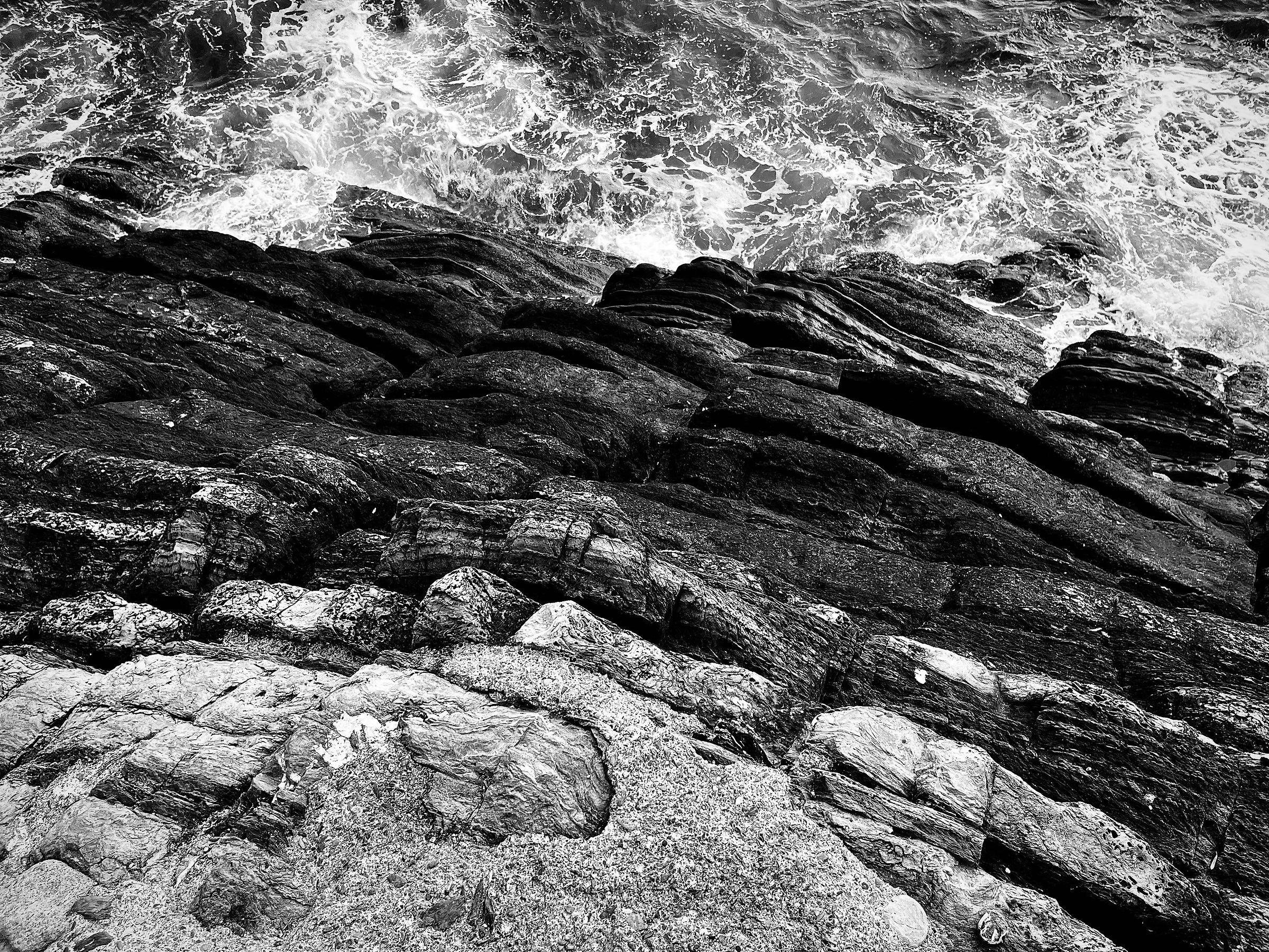 Linee di scogliera