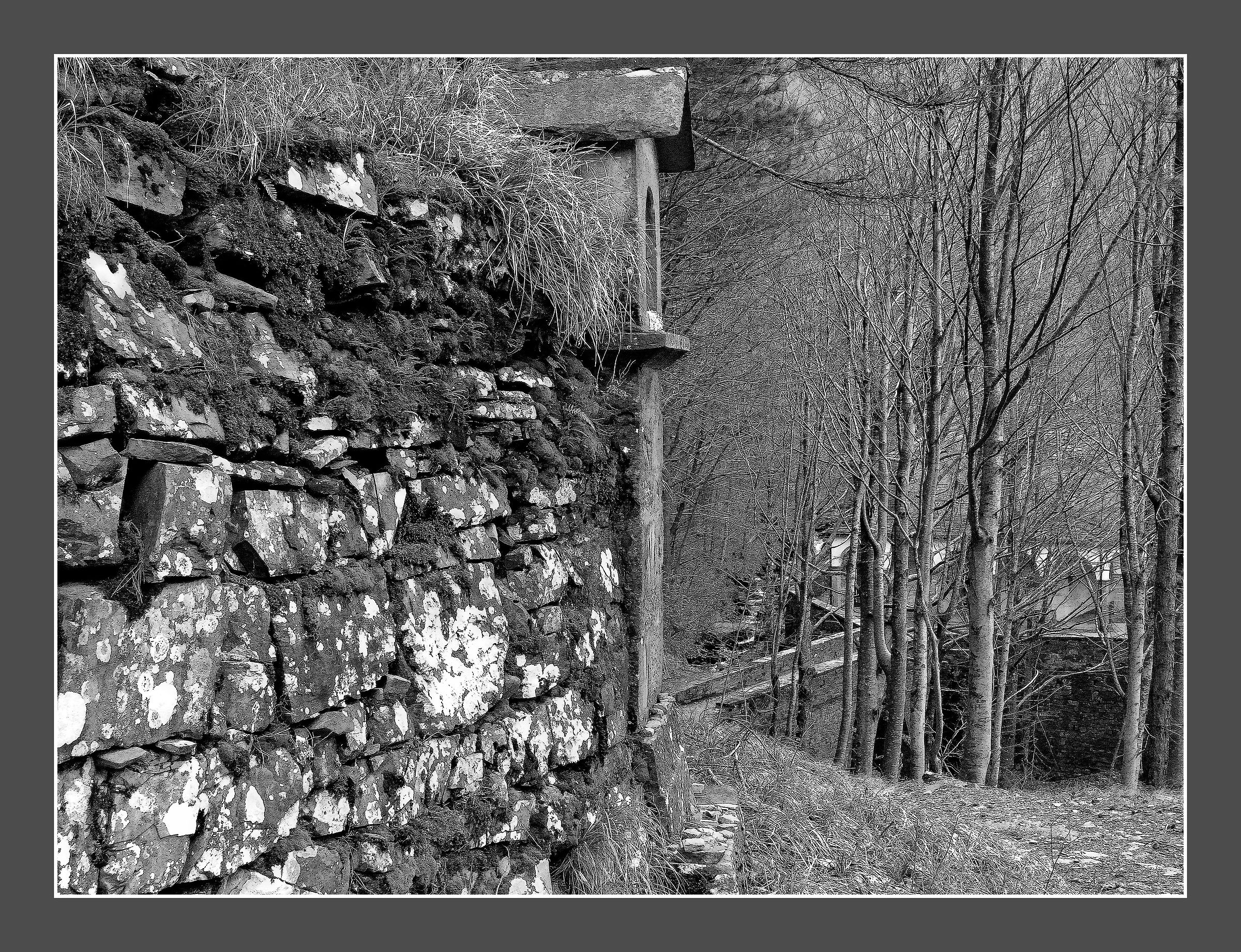 Paths of faith