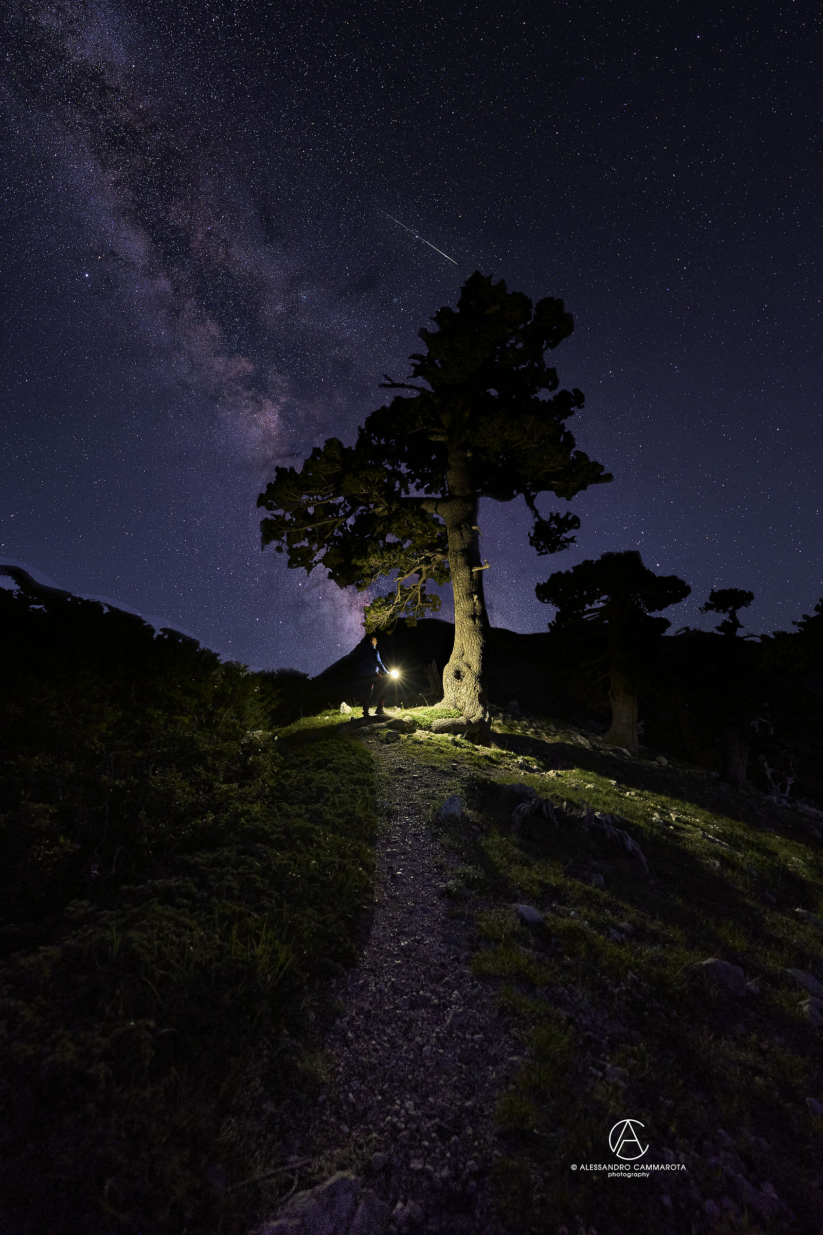Mille anni di tempeste un'eternità di stelle