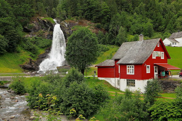 Foto