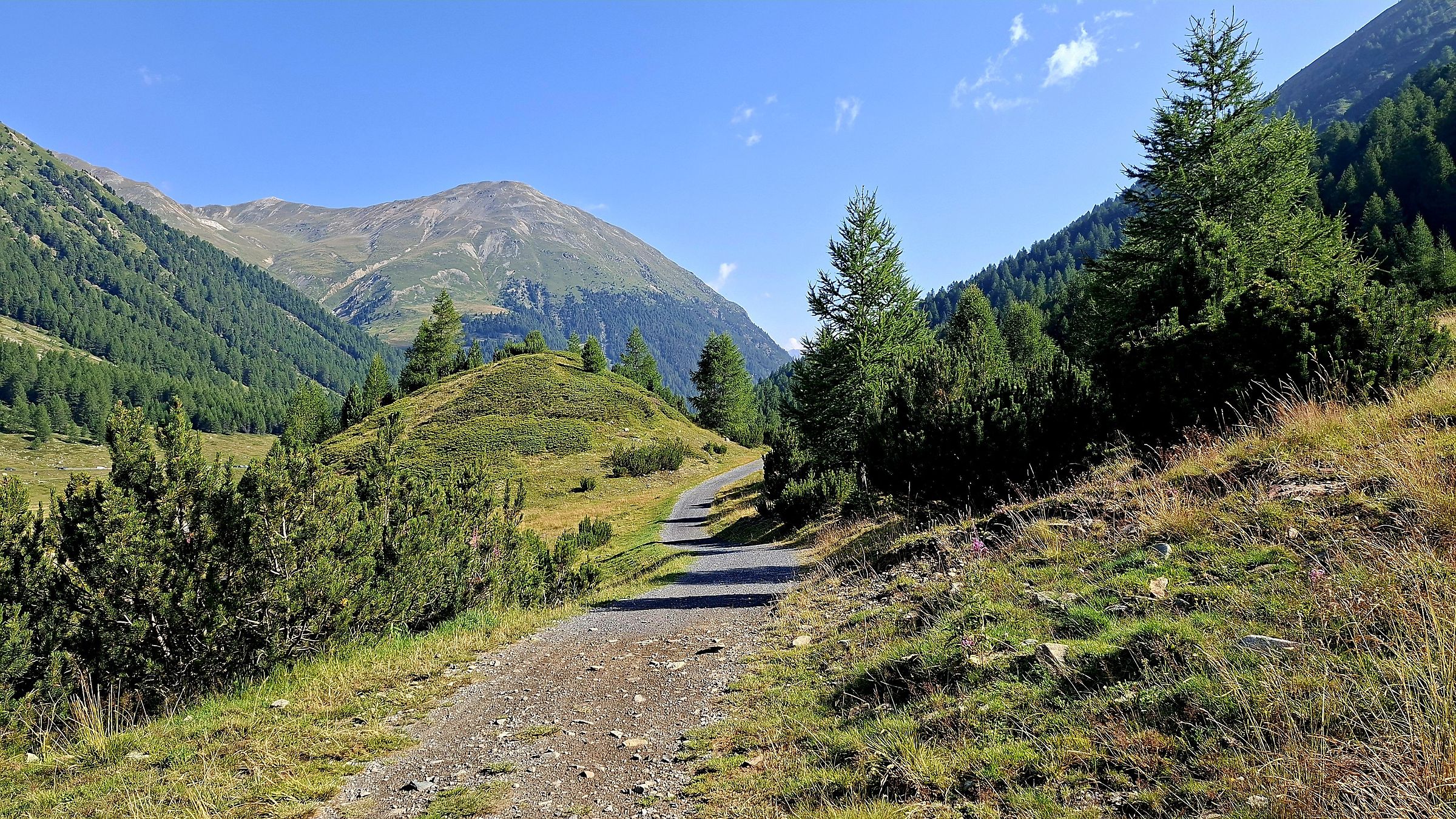 Passeggiata alpe vago(Livigno)