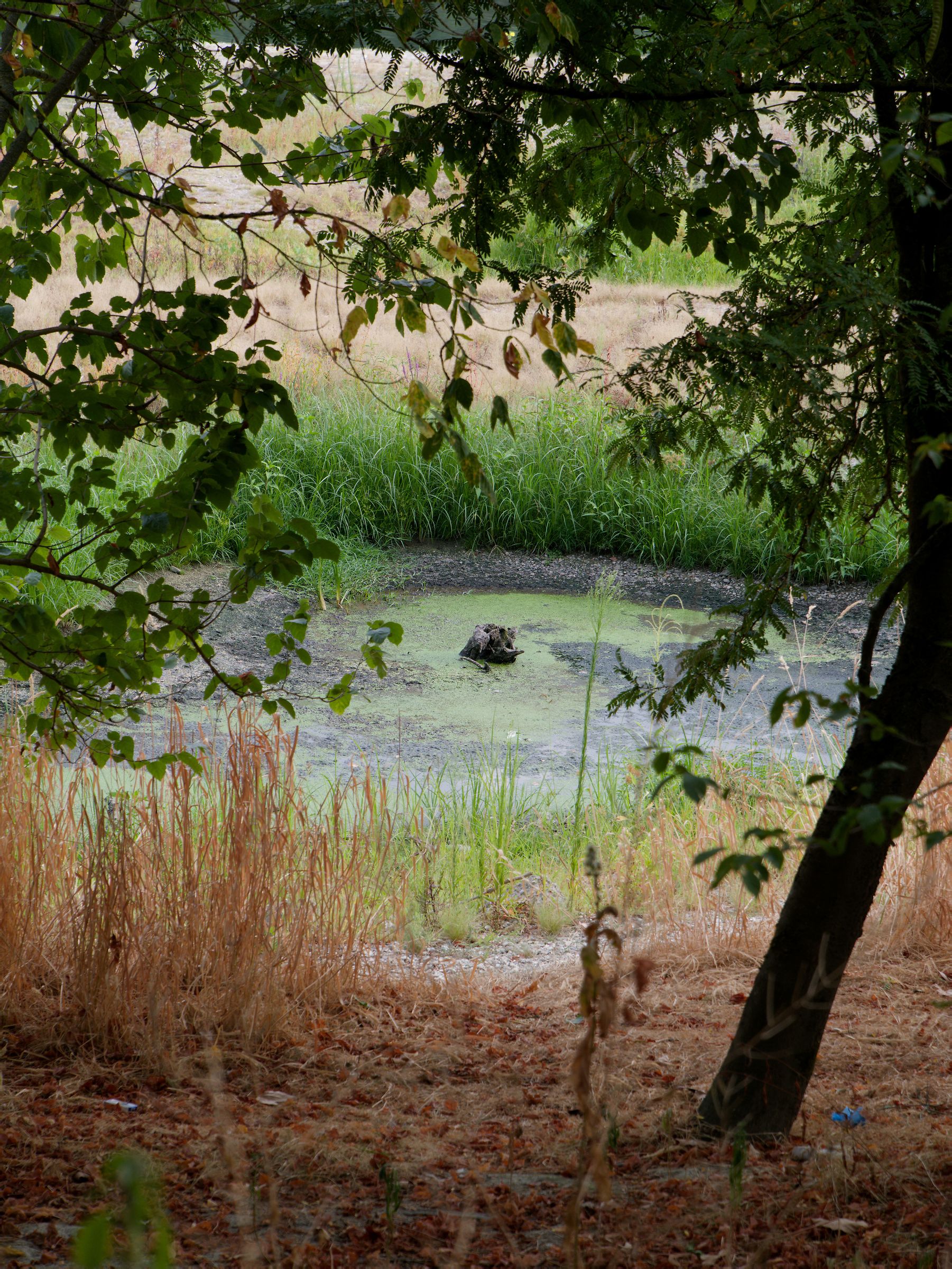 Where the river flowed the ponds
