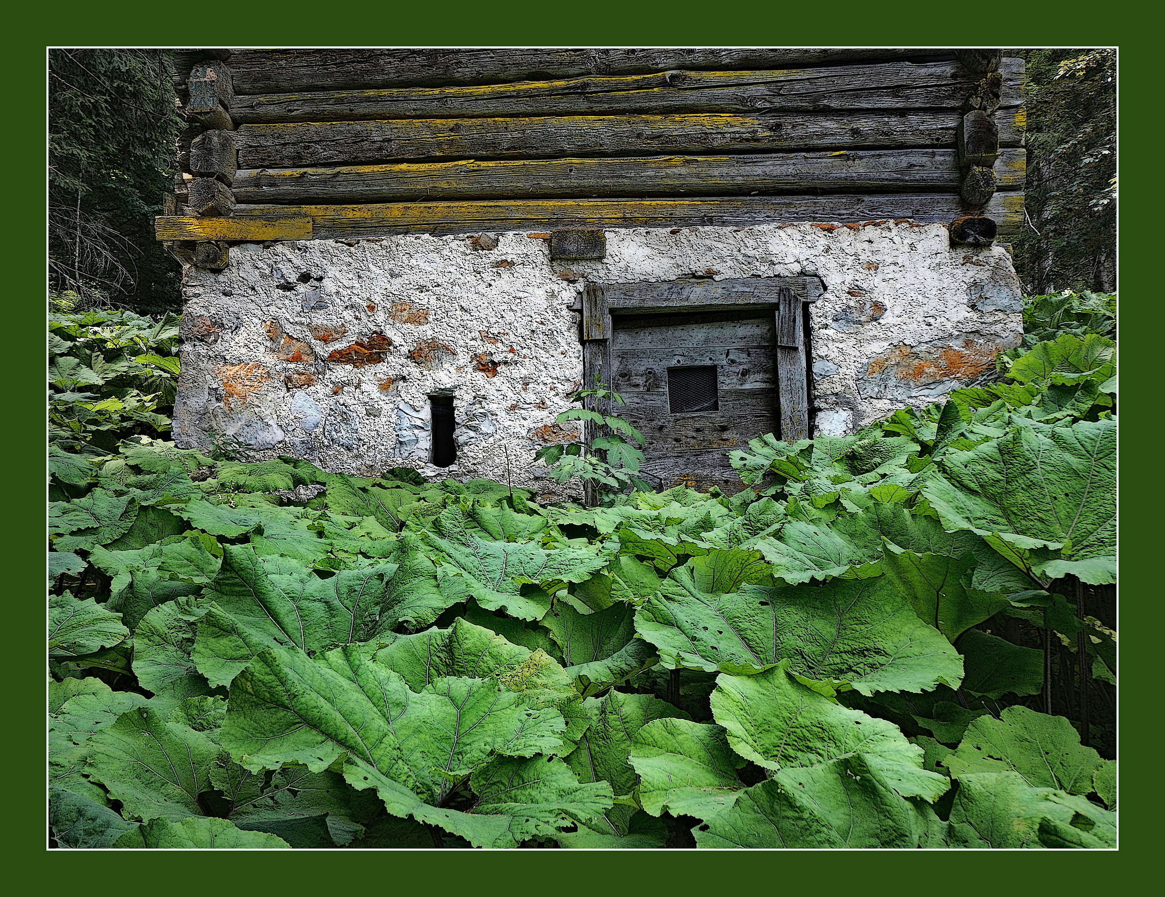 Tabià del Muro
