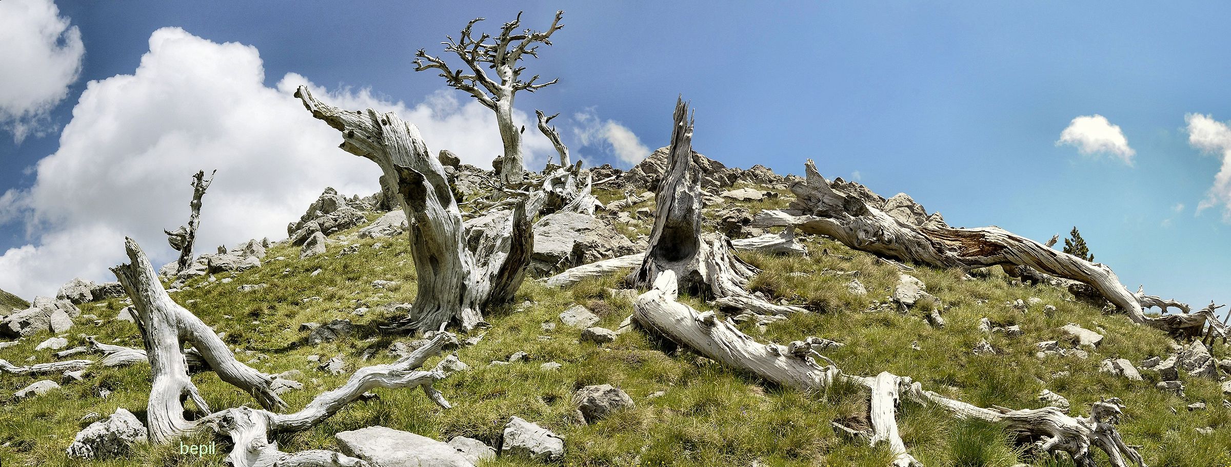 Loricati del Pollino