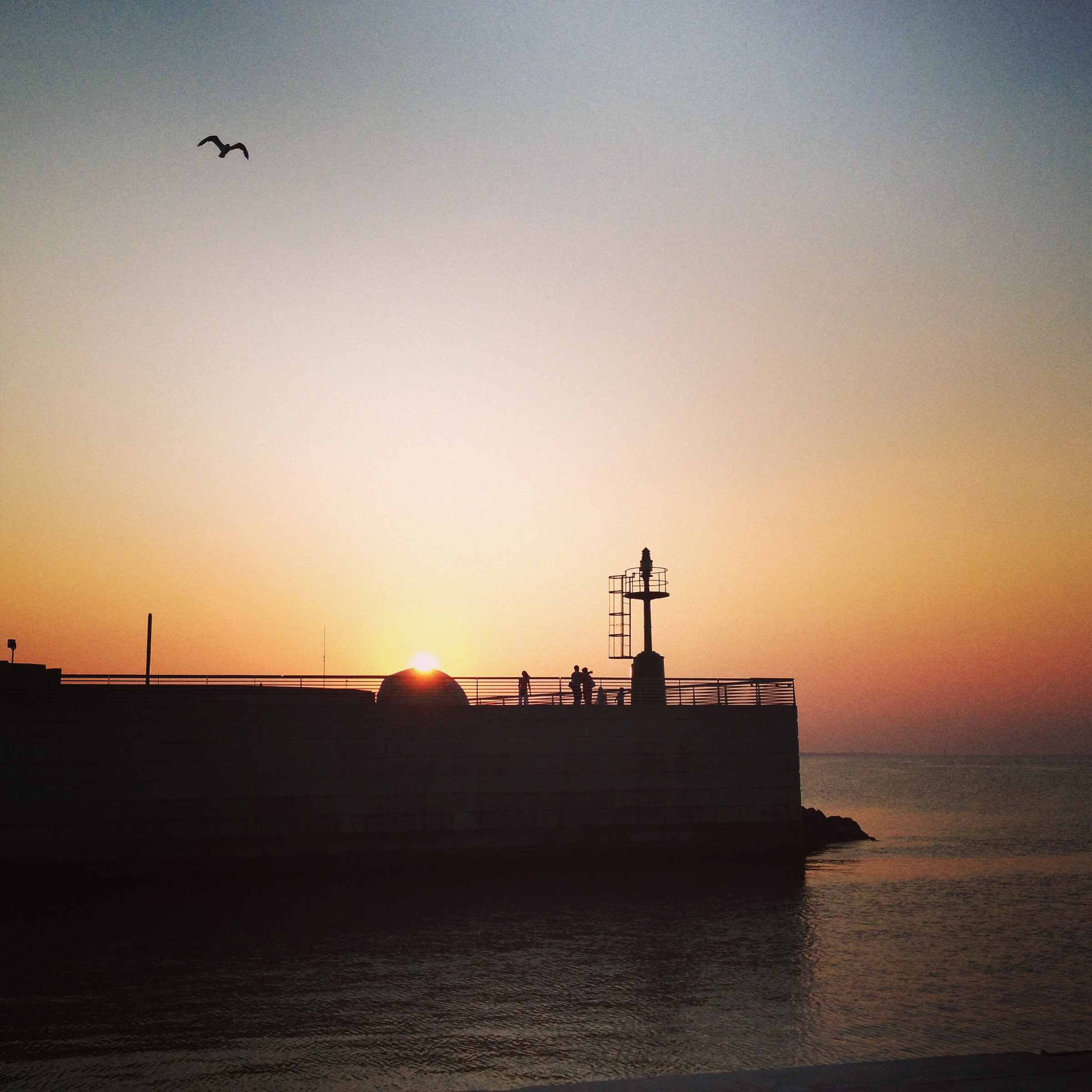 Io non invento nulla, immagino tutto...