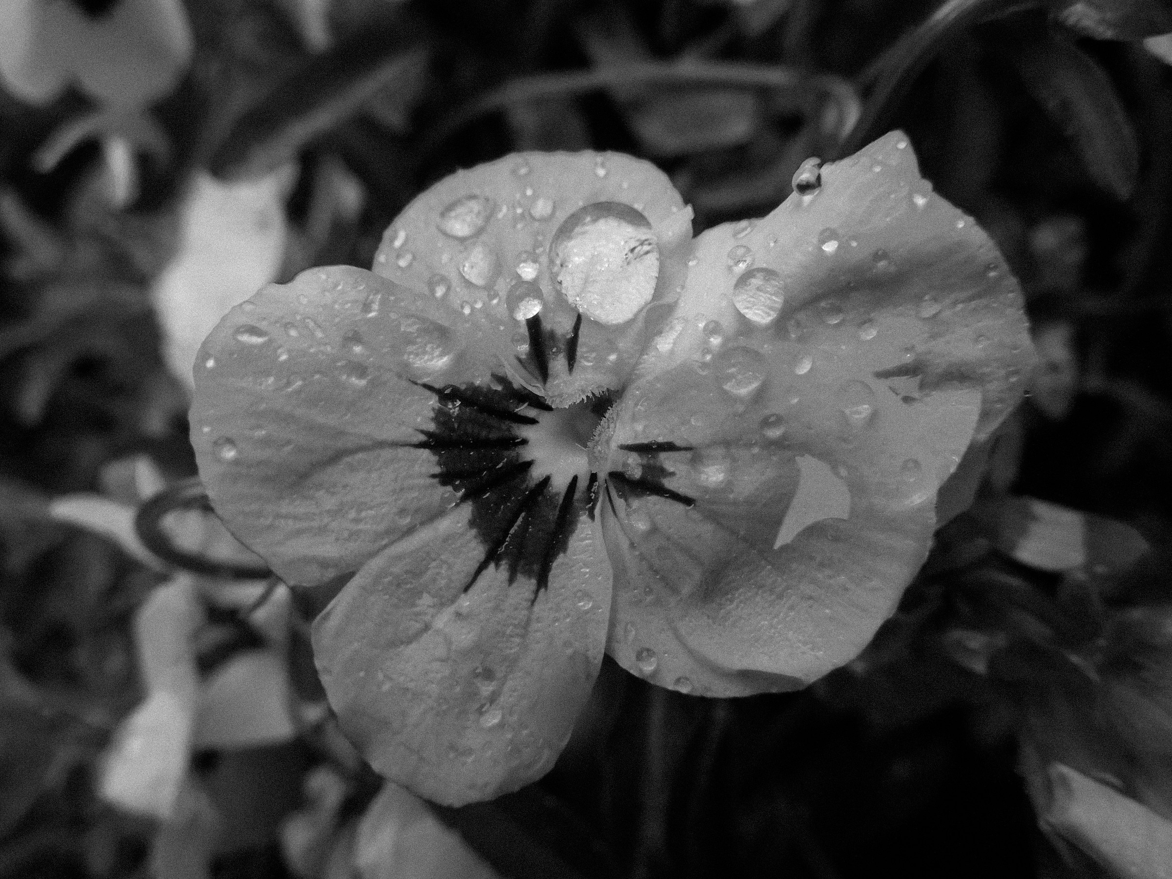 They are drops of memory ...