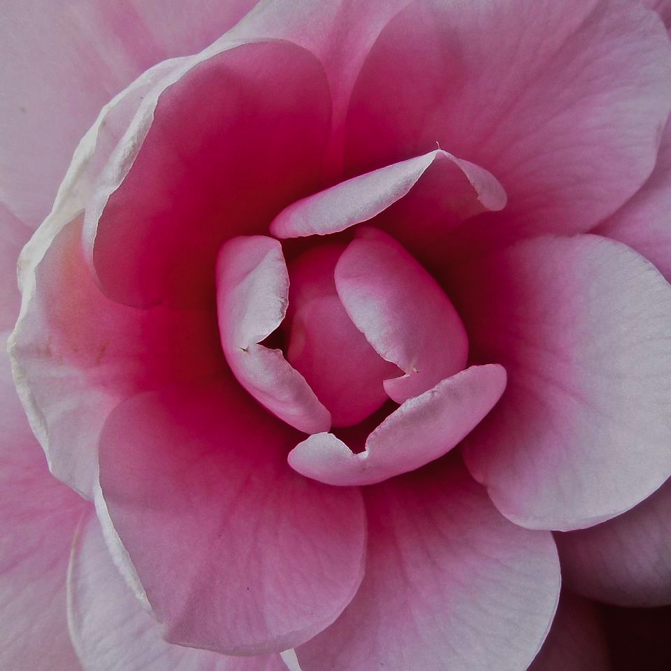 dedicato alle donne...le bellezze dell'universo