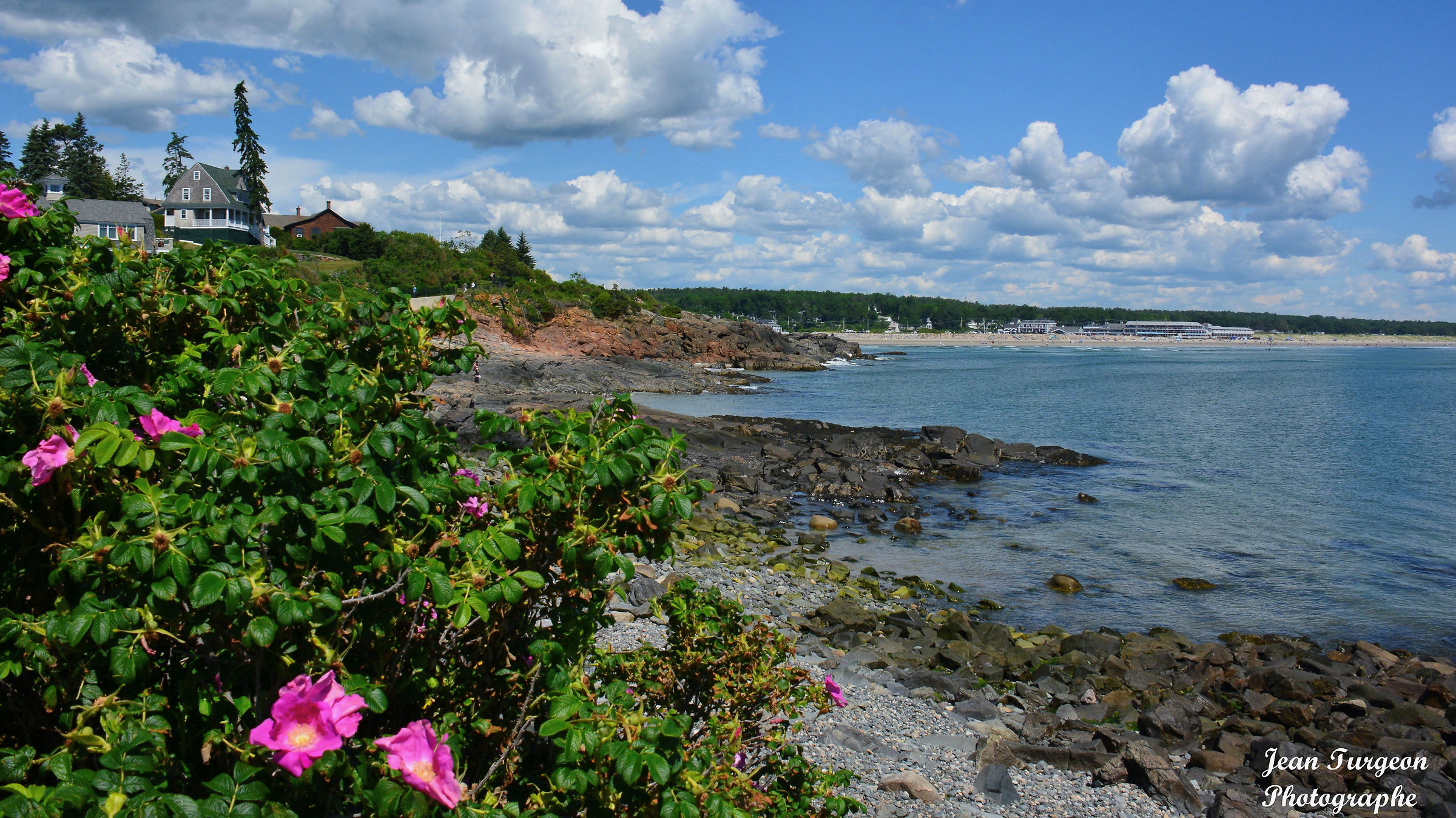 Landscape with flowers