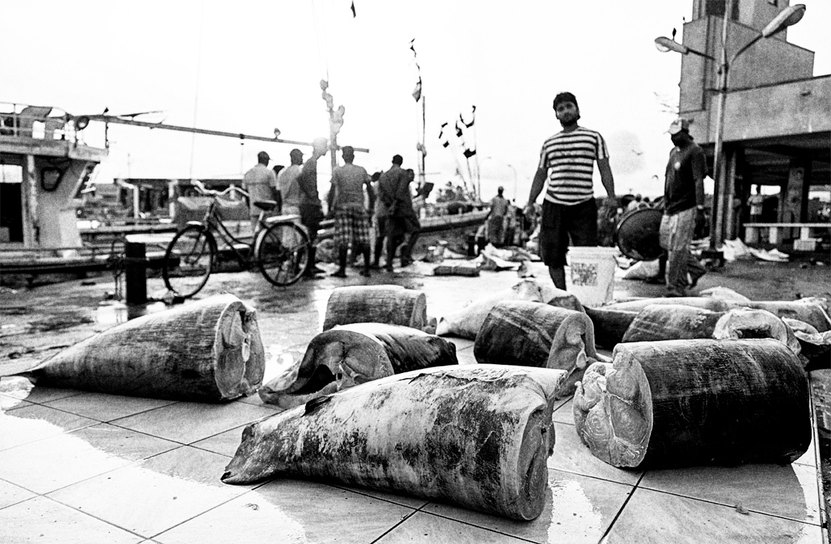 exposure of tuna steaks