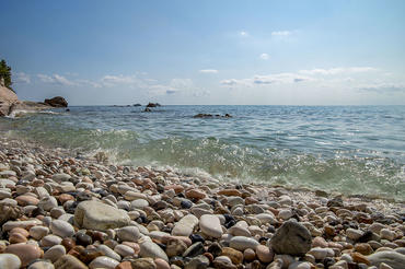 Mare
