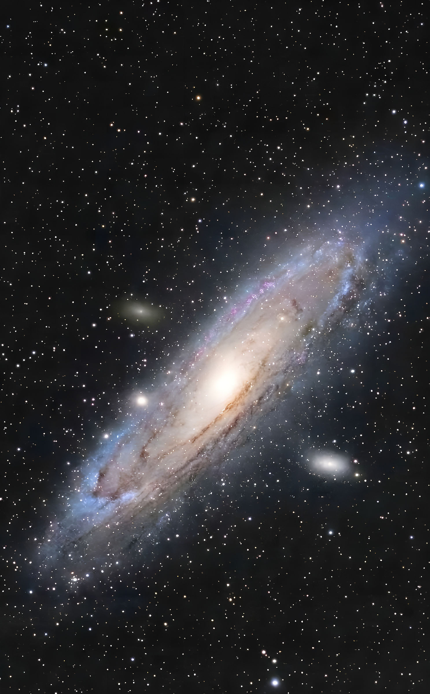 Andromeda, la bella vicina di casa