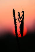[Fotografia]