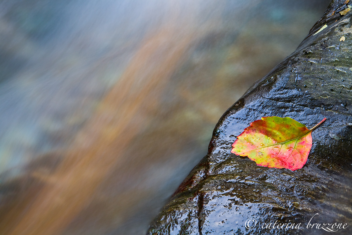 Autumn on the river Gorsexio