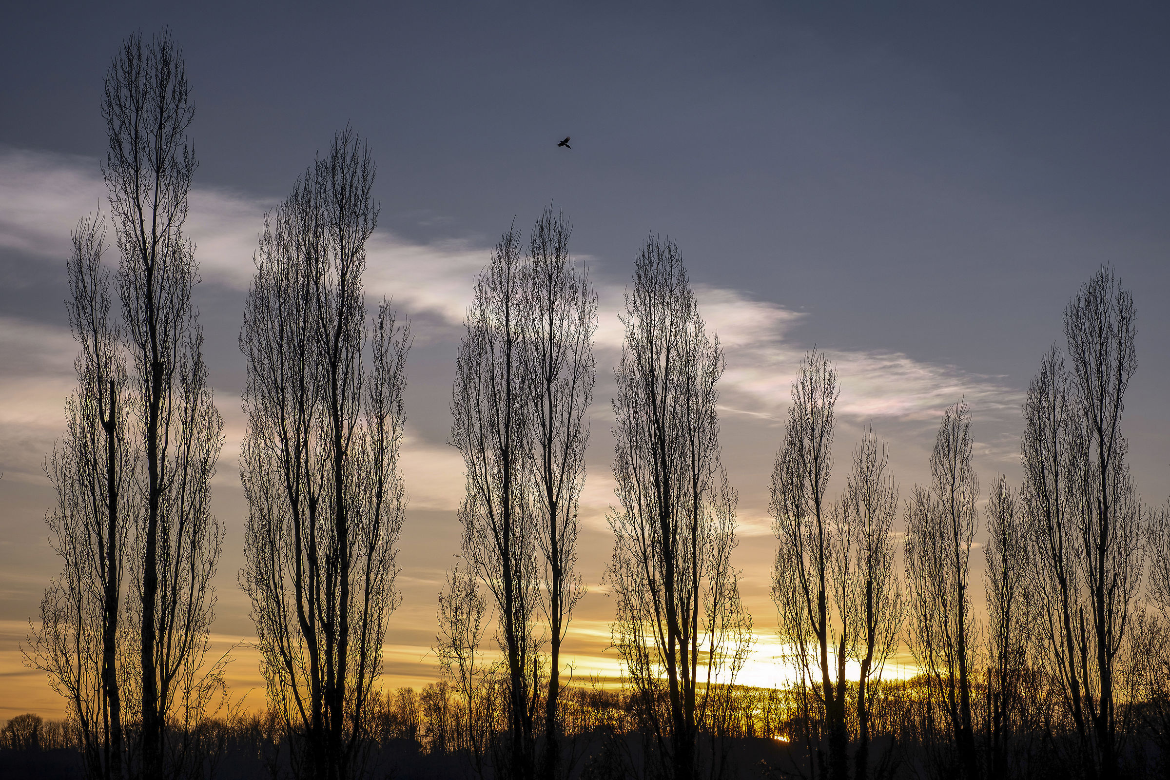 Tramonto light.