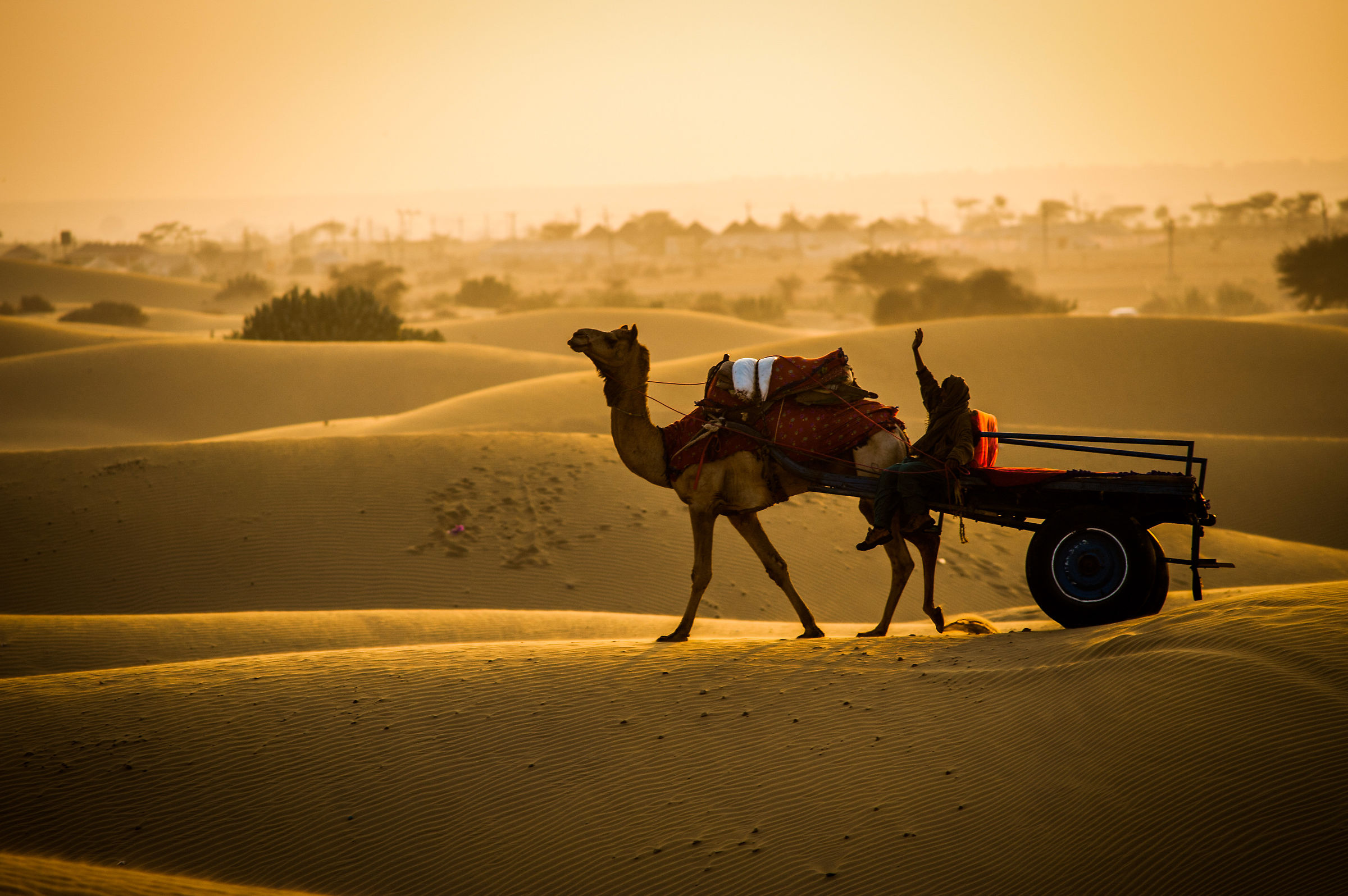 " In equilibrio tra le dune....... "