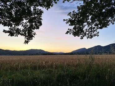 Sunsets