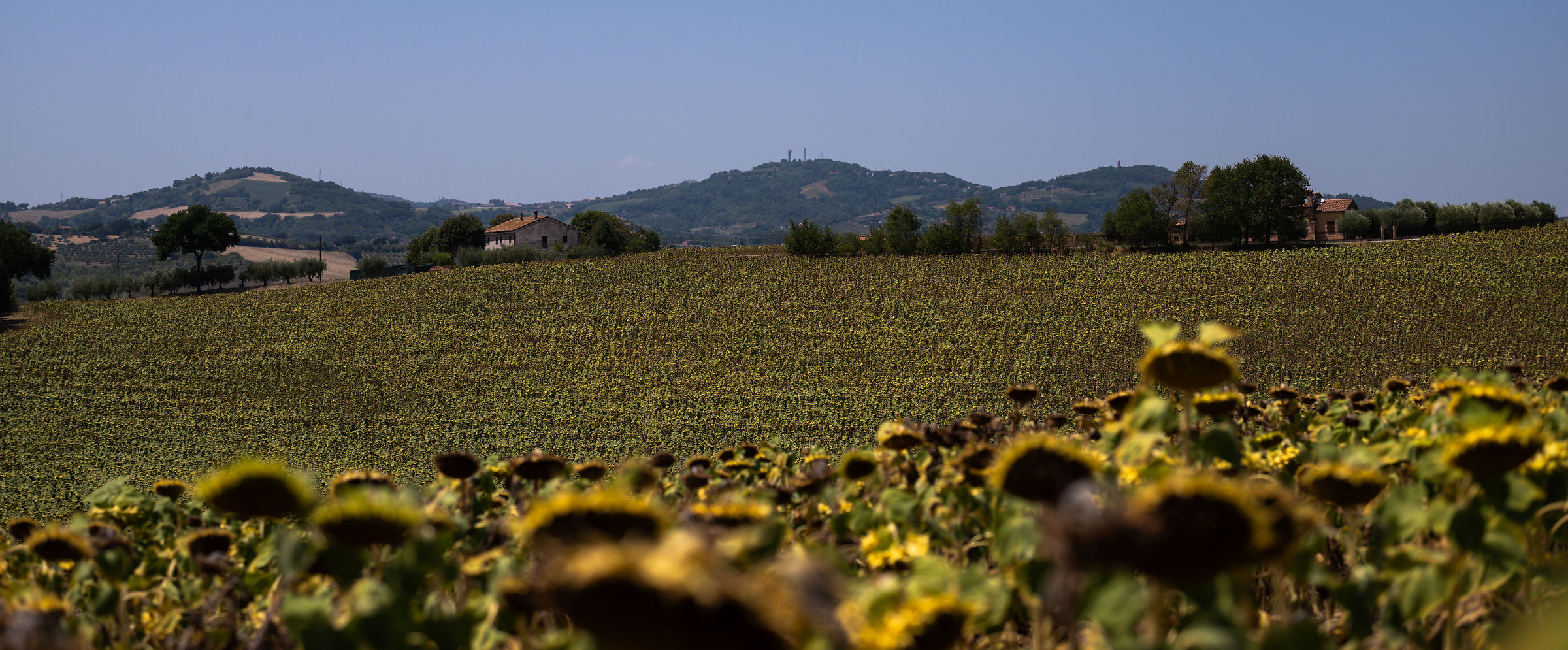 casa in collina