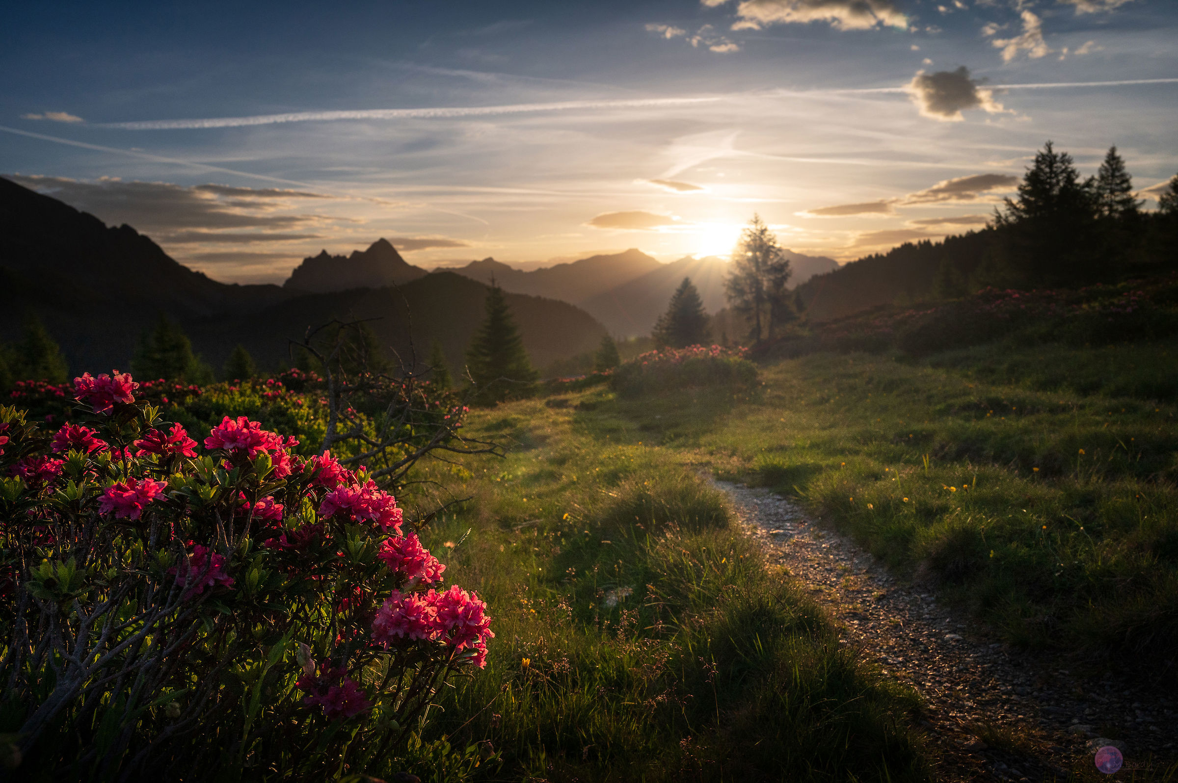 Un nuovo giorno tra i rododendri