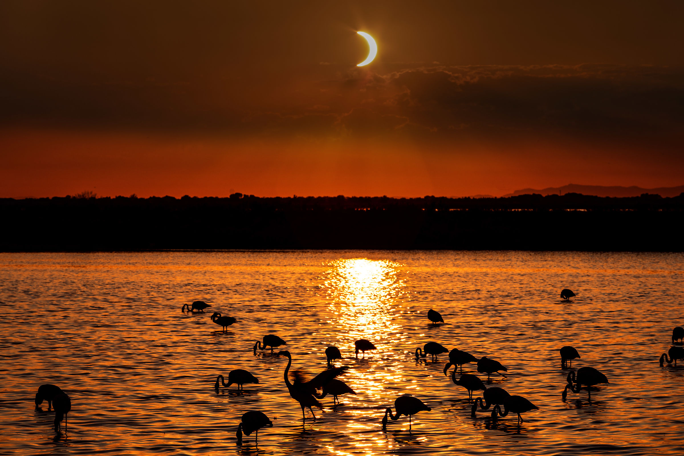Partial eclipse in the Camargue