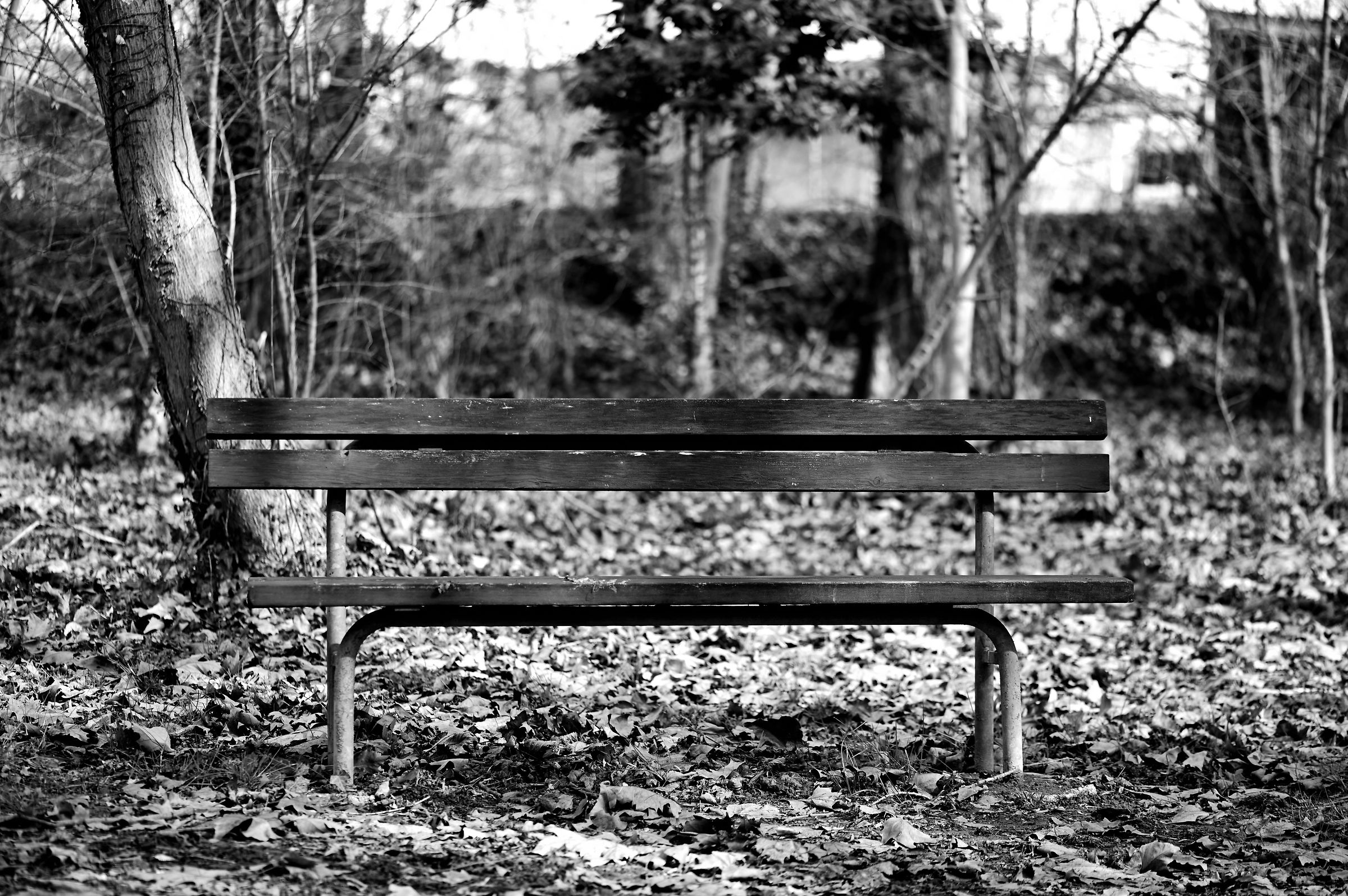 Solitude