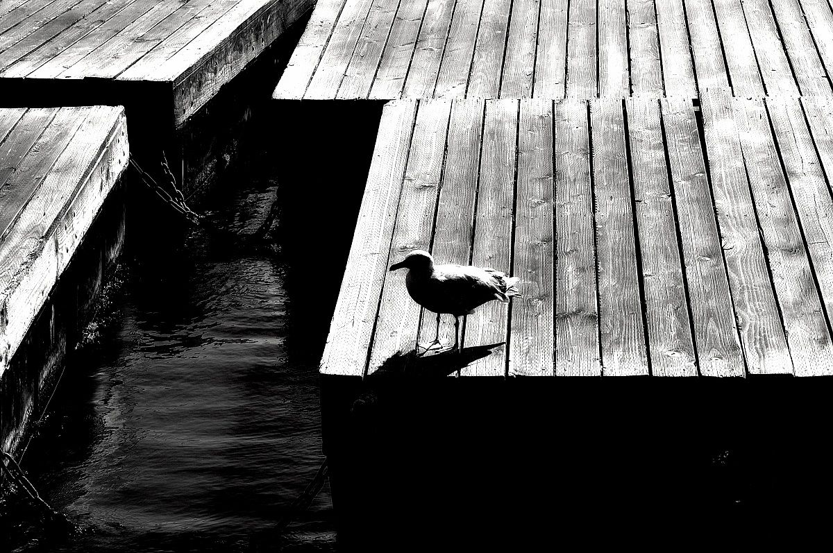 Flight ... do not fly ...