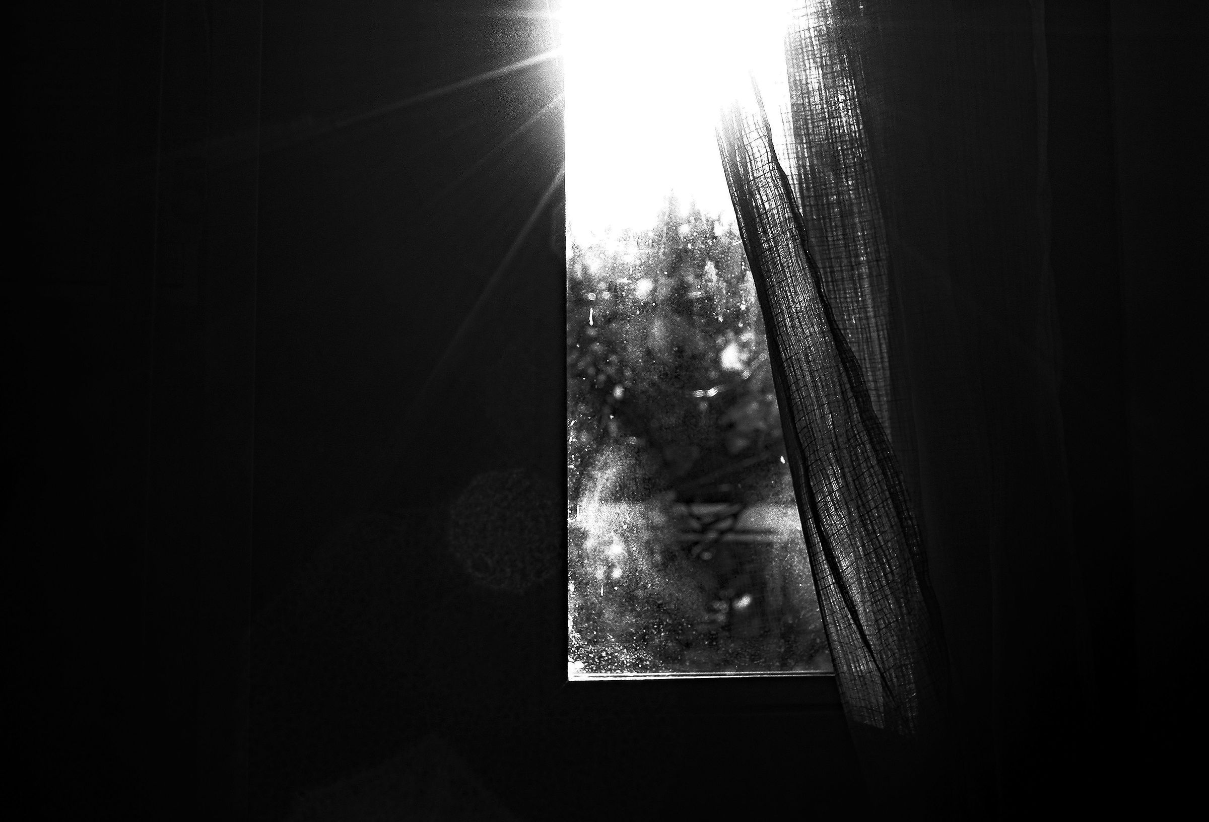 window