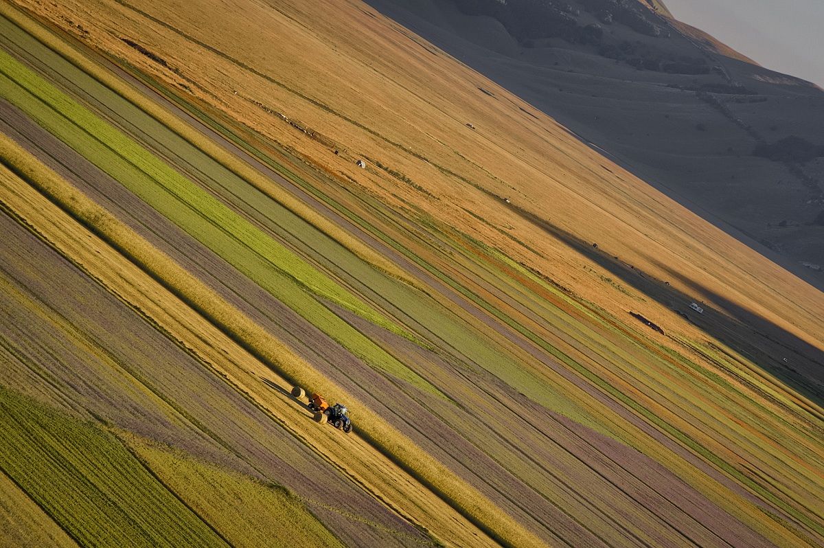 Trattorino in lontananza - Castelluccio di Norcia