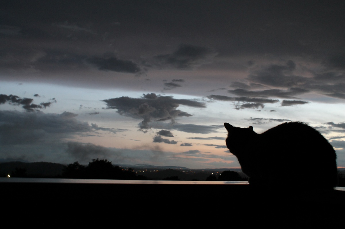 Admiring the calm after the storm