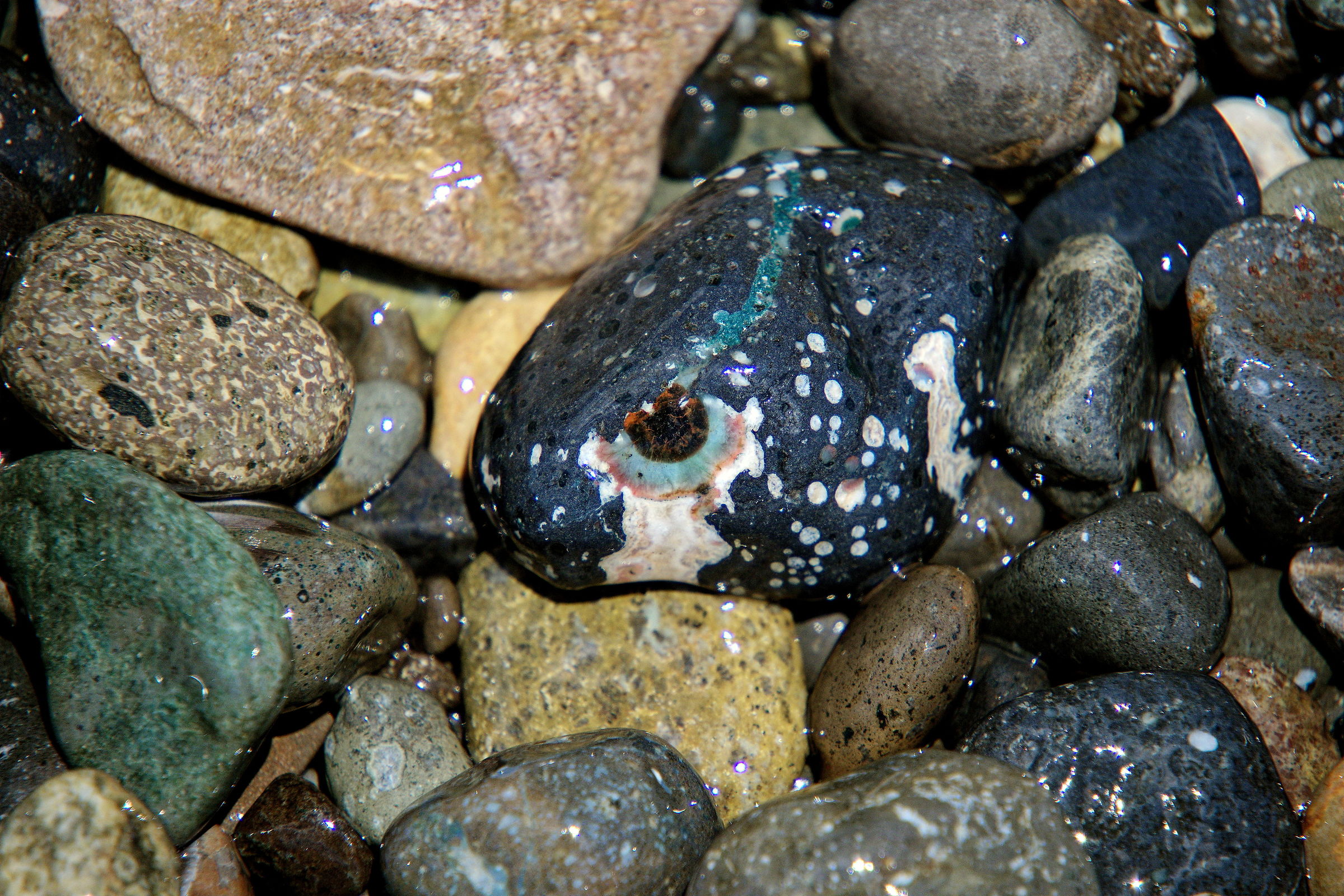 look of stone