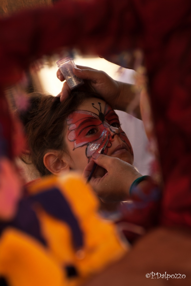 Butterfly, on the face of a flower .....