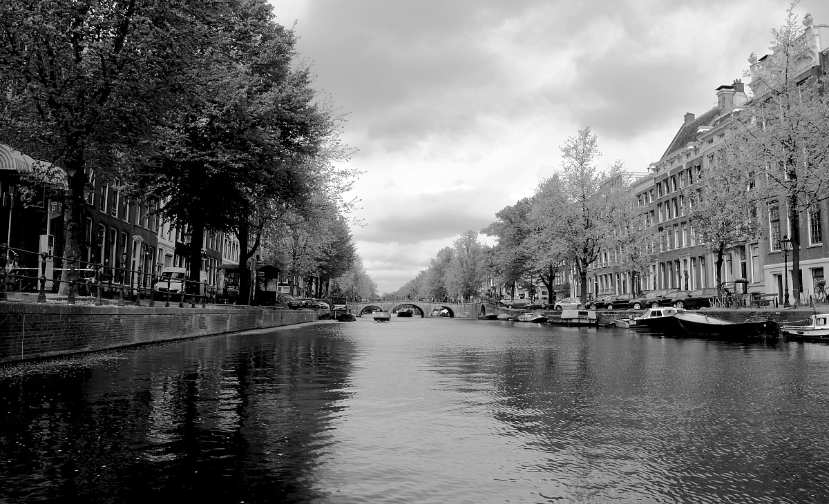 Nel mezzo del canale