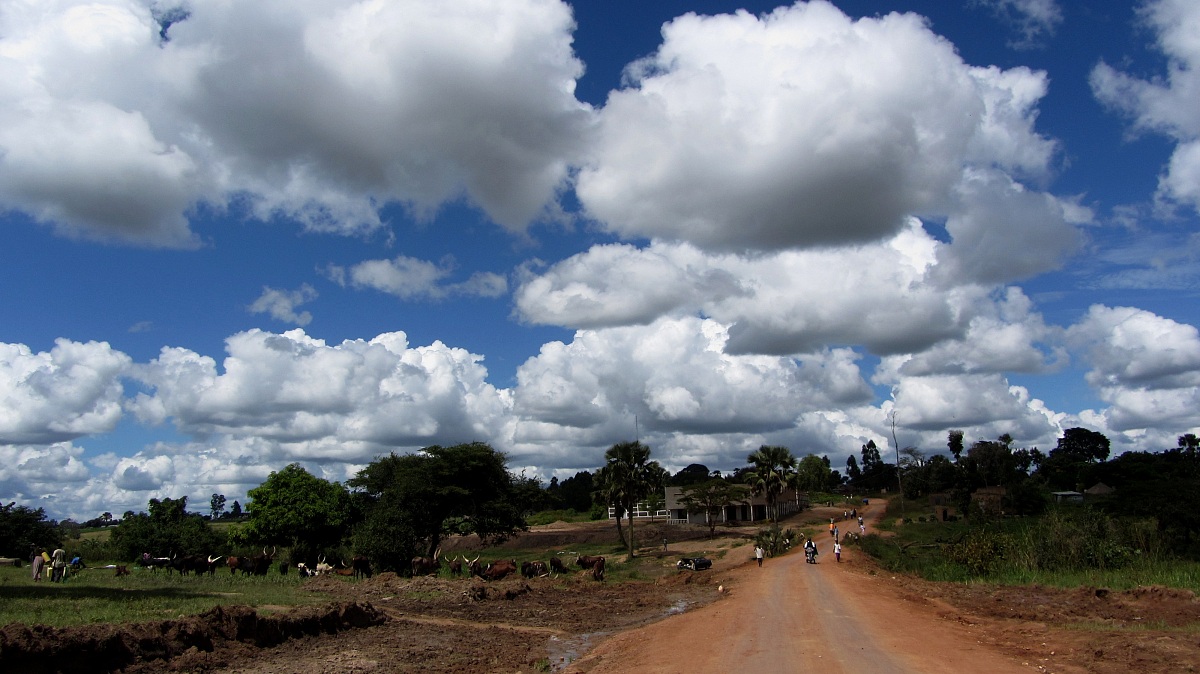 4. Koboko (north-western Uganda)