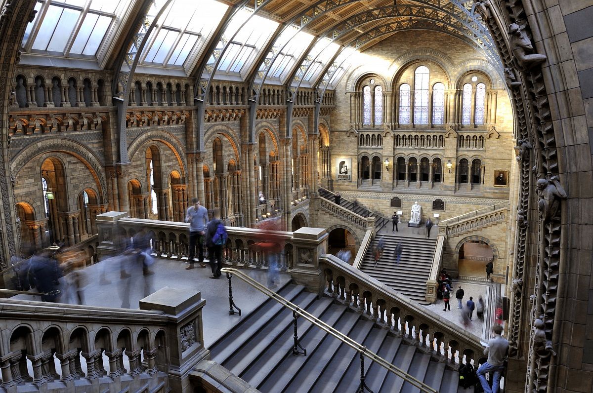 Nature History Museum