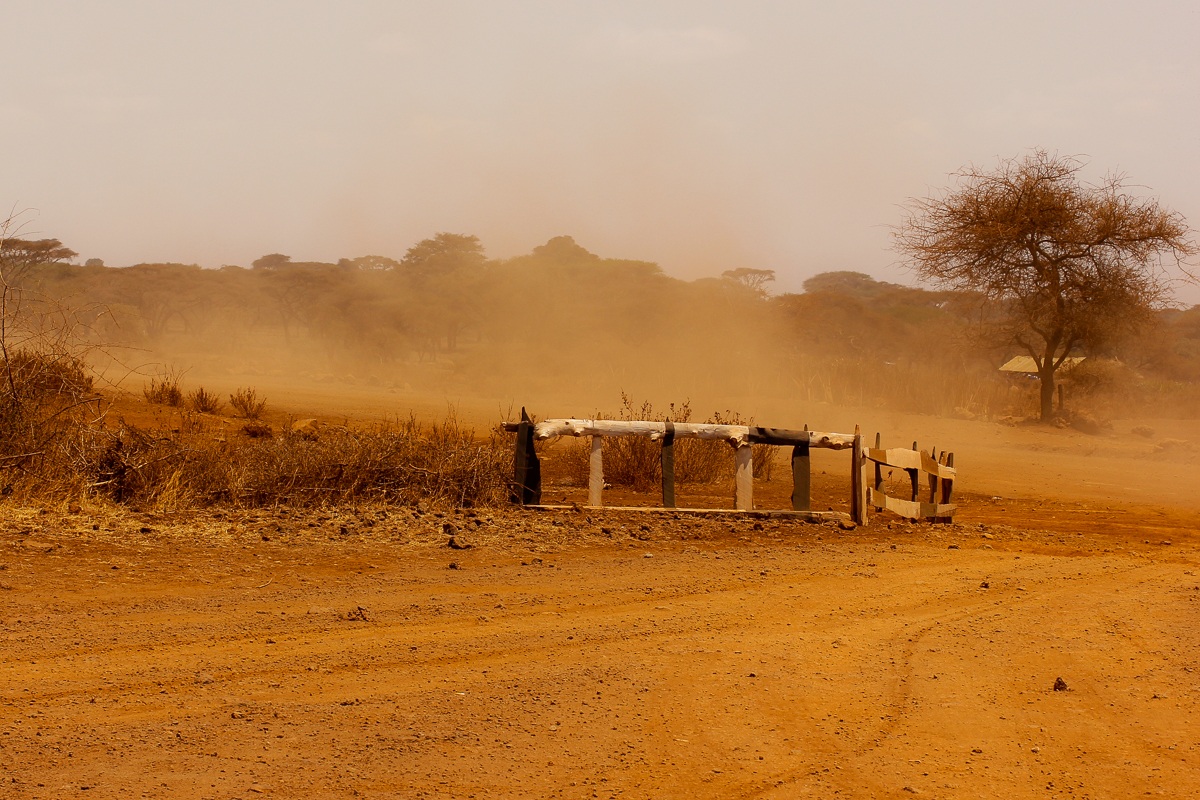 Per le strade dello Tsavo East