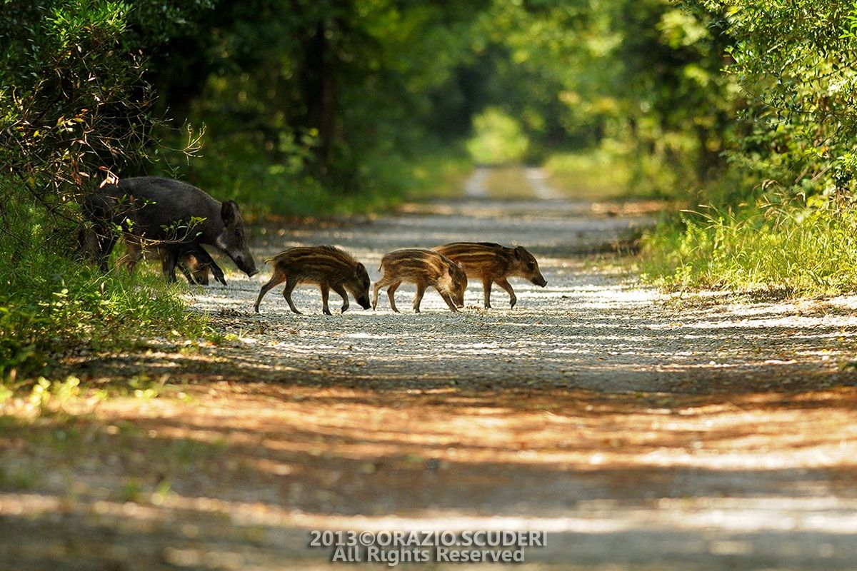Parco Nazionale del Circeo - Incontri