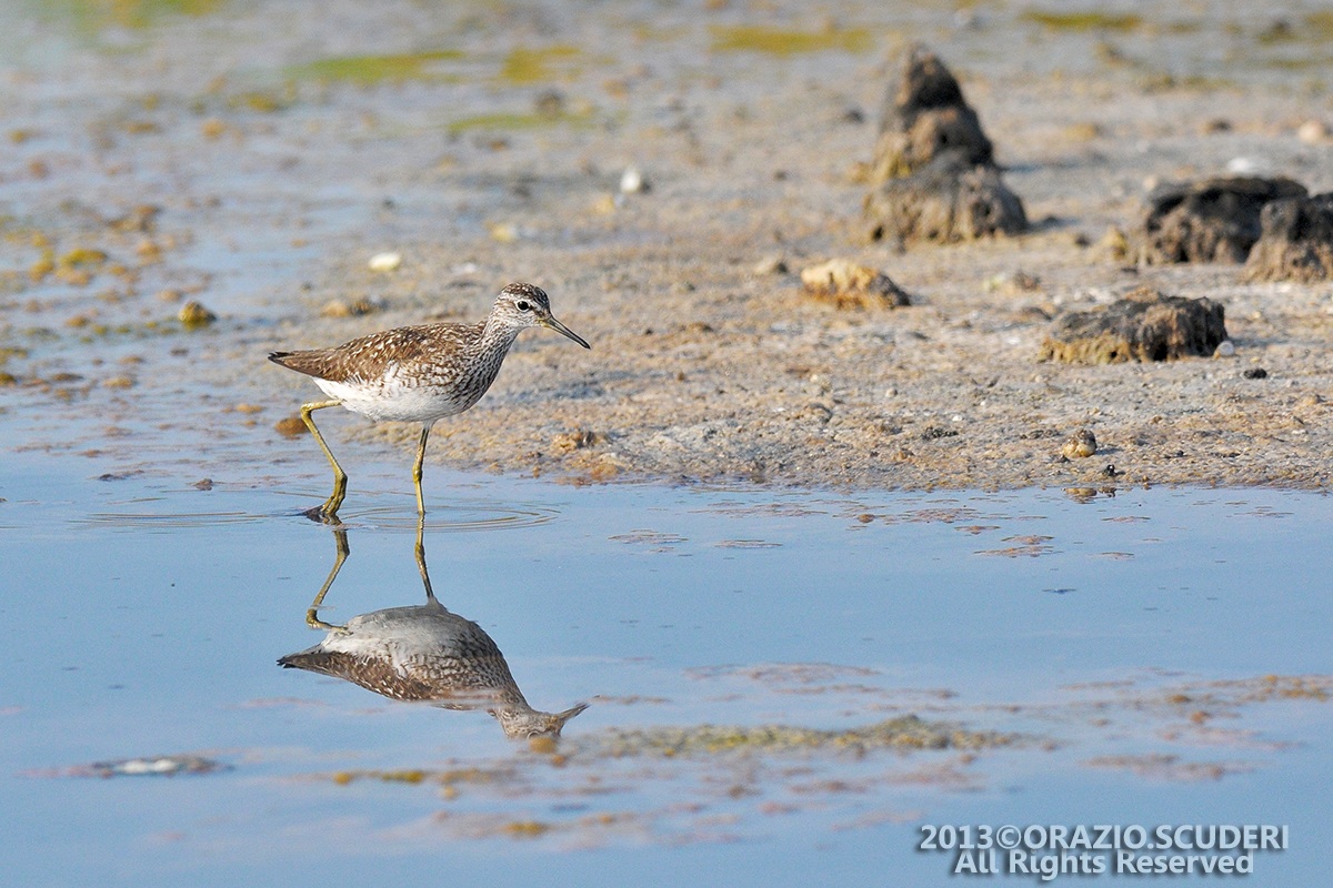 Circeo National Park - Dating