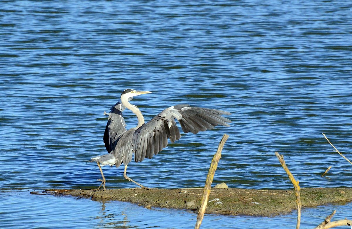 e voilà atterraggio riuscito
