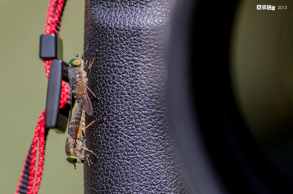 The best place to make love