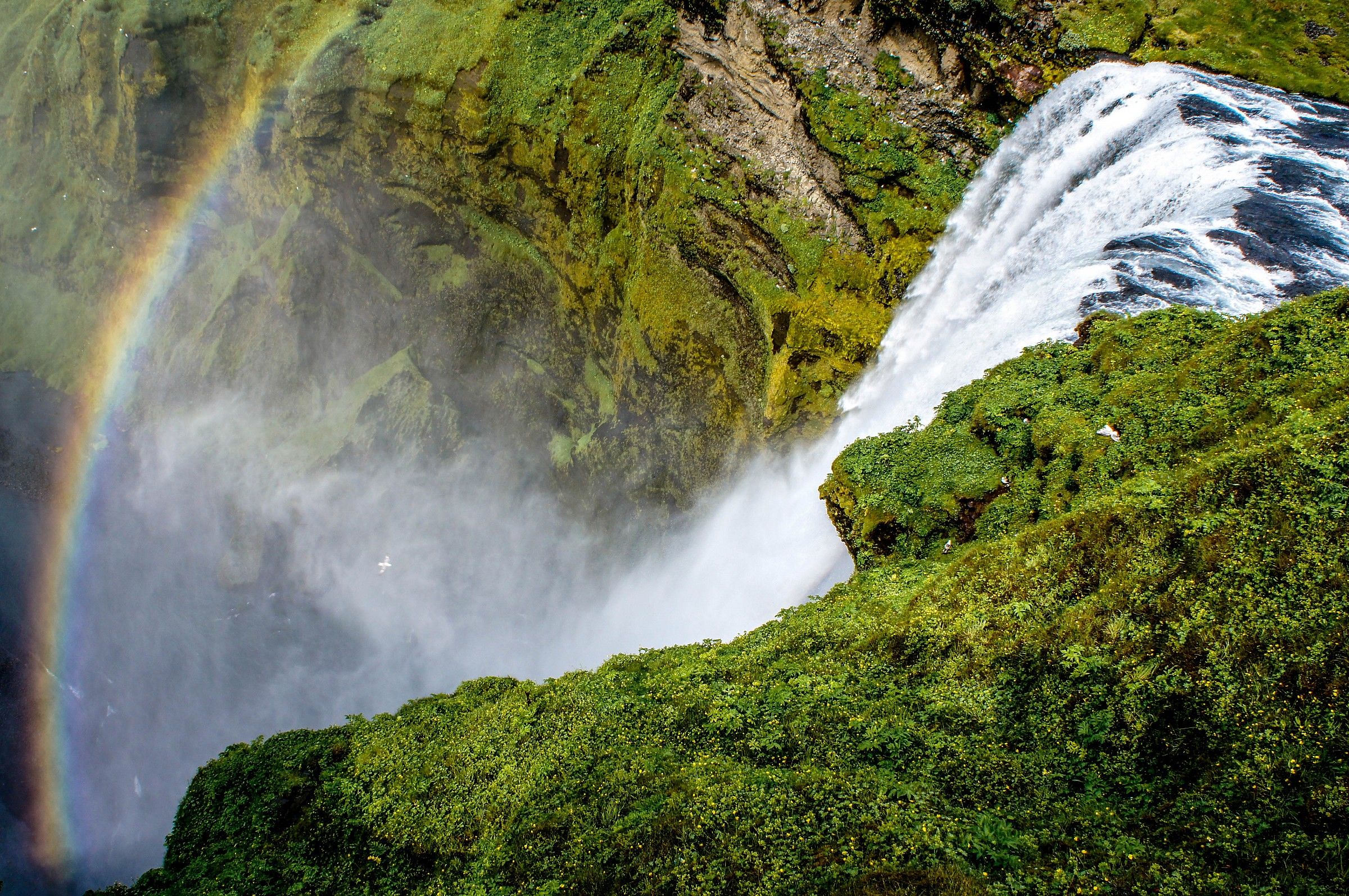 Rainbow at Skogafoss
