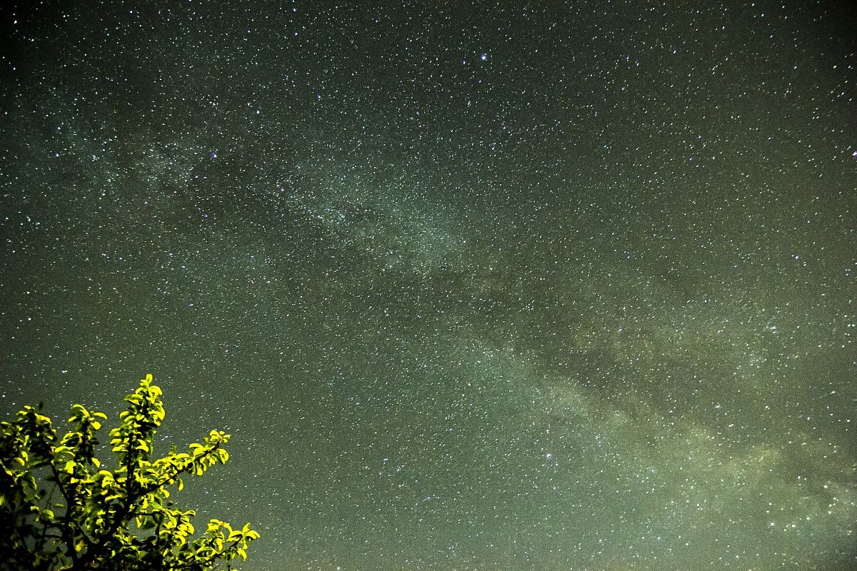 Under the branch of the Milky Way