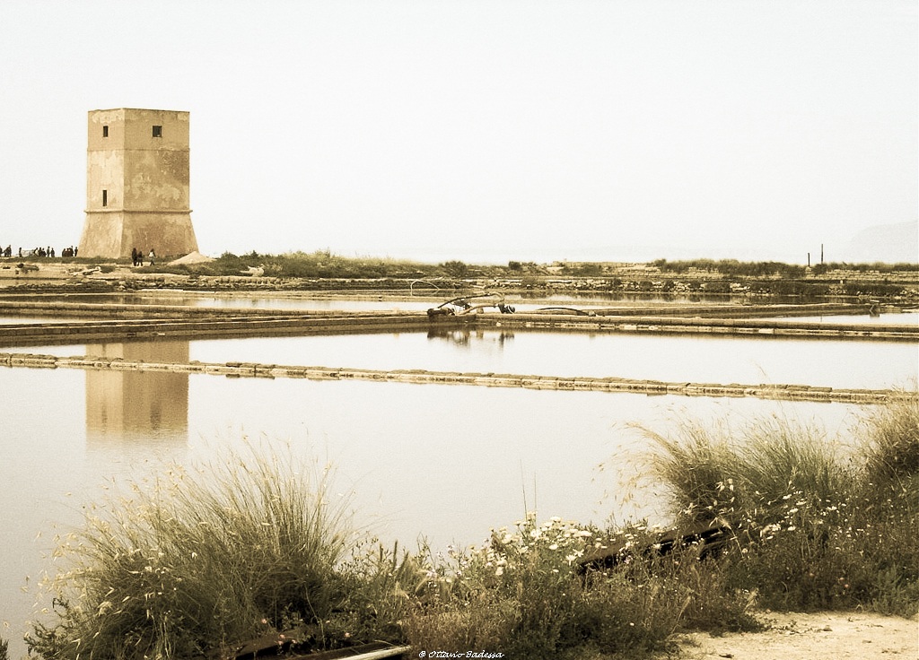 Marsala: the Saline
