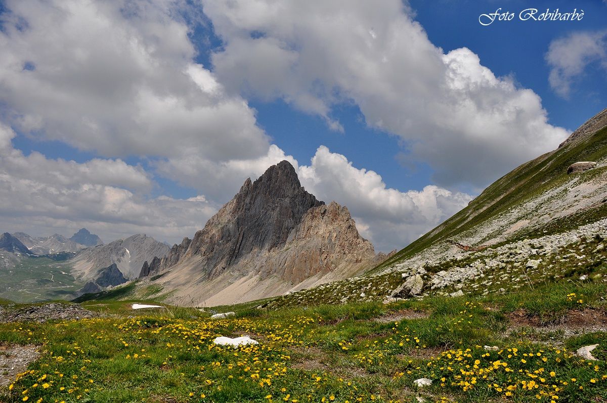 Splendida.....Meja.....