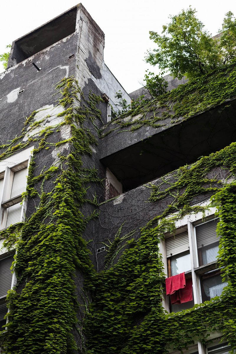 La rivincita della natura