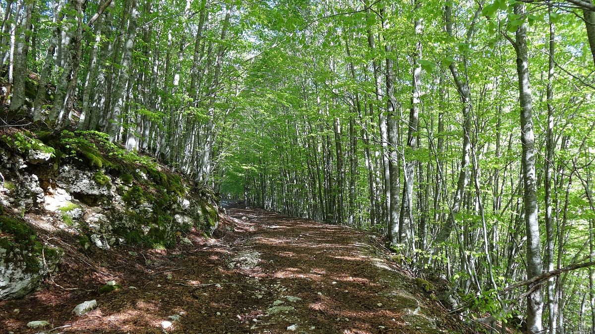 Path from Canneto to the three boundaries