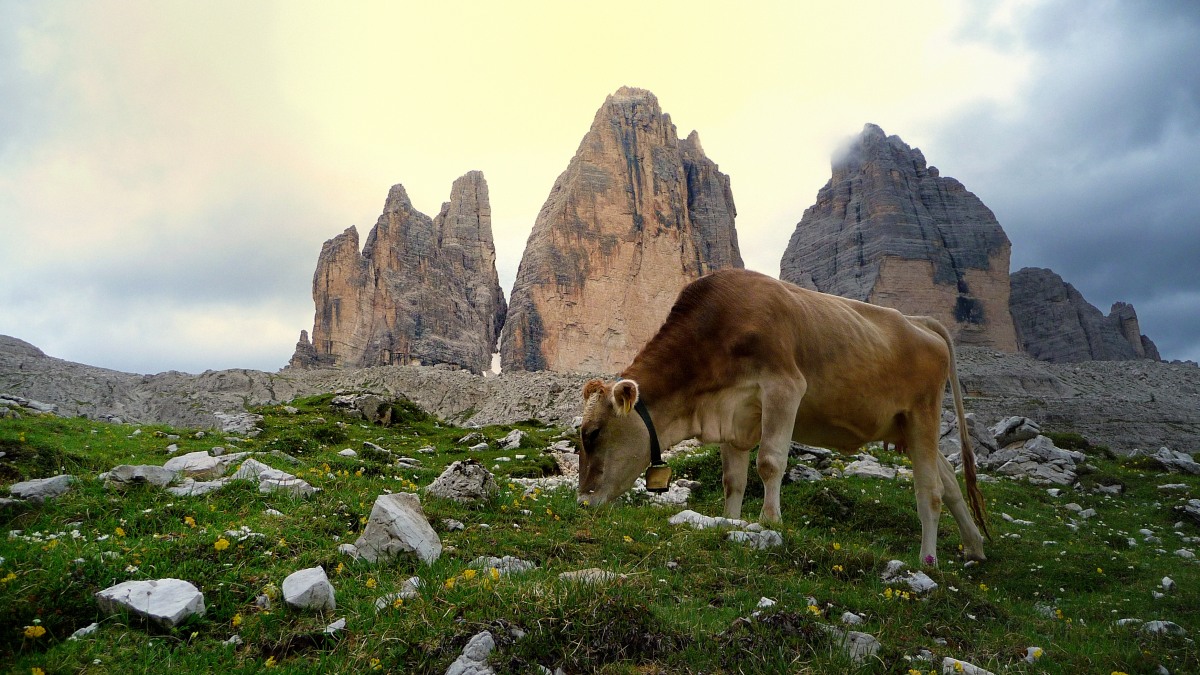 under the Three Peaks